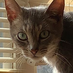 Meet your Posher, Olivia